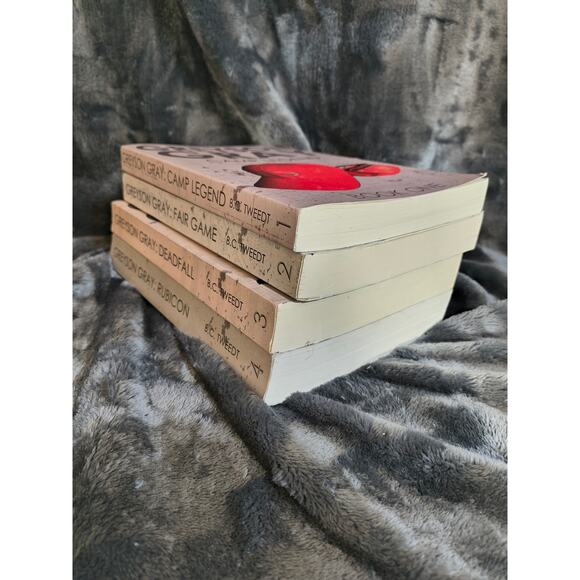 Grayson Gray 1-4 Book Series  by B.C. Tweed - Picture 2 of 6